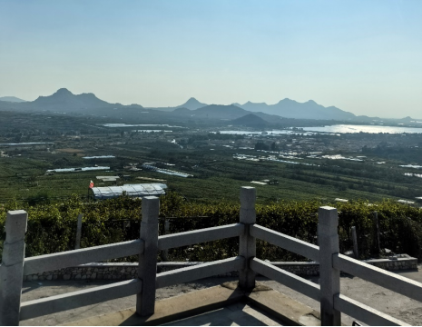 平度大澤山葡萄園引進(jìn)萊恩德土壤肥料檢測儀， 輕松掌握土壤營養(yǎng)